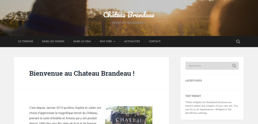 Chateau brandeau